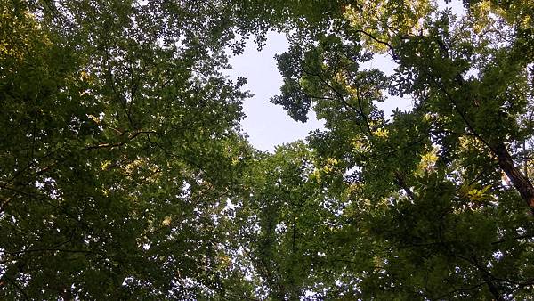 20170710_055055_HDR.jpg 20170710_055055_HDR.jpg