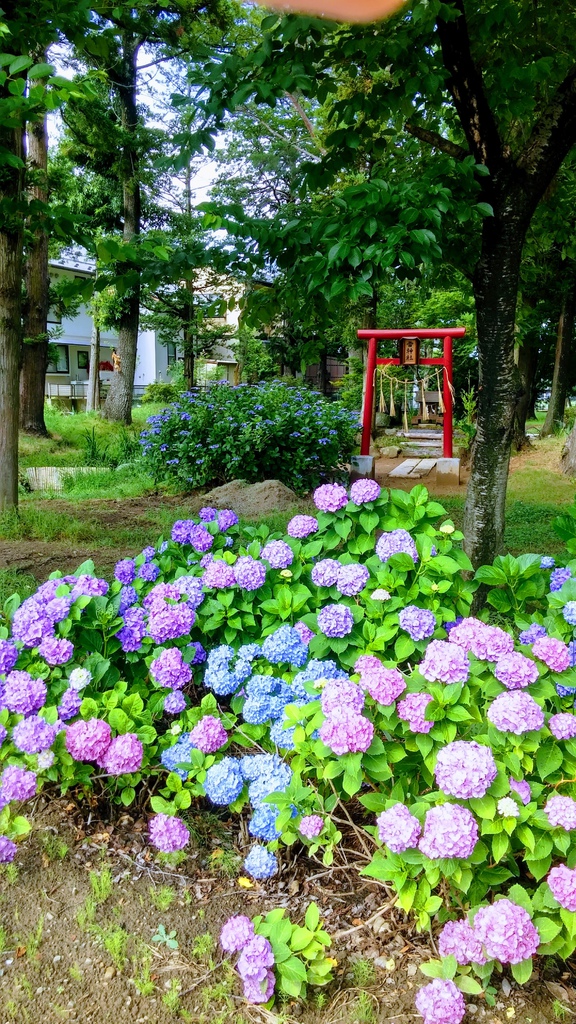 20170713_085206_HDR-EFFECTS.jpg 20170713_085206_HDR-EFFECTS.jpg