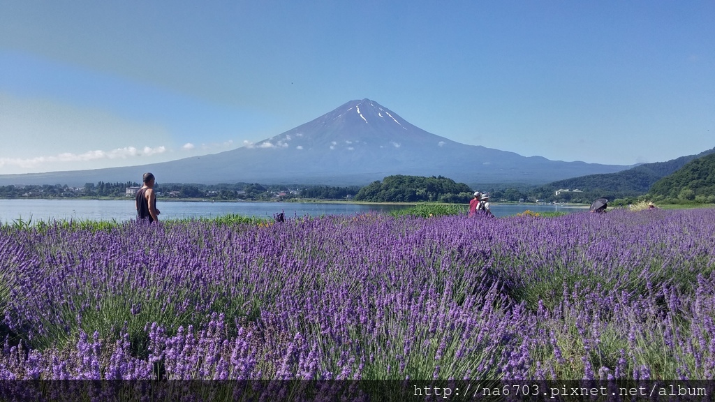 20170715_081643_HDR.jpg 20170715_081643_HDR.jpg