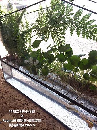 IMG_6232.JPG IMG_6232.JPG