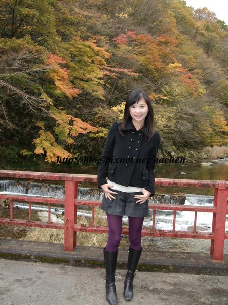 紅葉 北茨城の道端 Miuの花花世界 よろしく 痞客邦