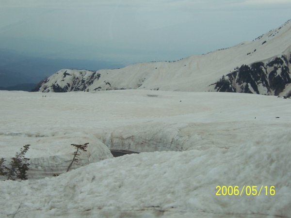 100_2975.JPG