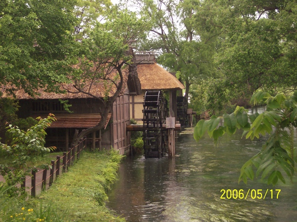 100_3140.JPG