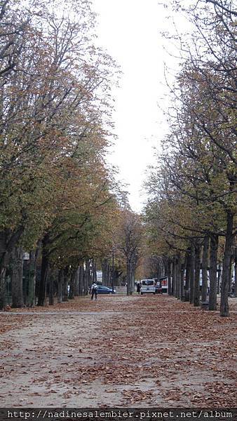 巴黎香榭大道 Champs Elysees Paris