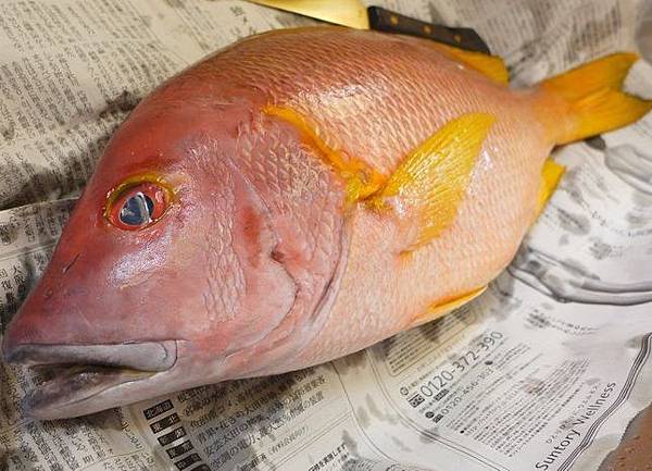 肉魚 鯧魚 鯛魚和丁香魚 挖掘不盡的魚和魚料理 魚料理之兵法之一 Benson The Teacher S Culinary Art Of War 鞭神老師之食之兵法 肉魚 鯧魚 鯛魚和丁香魚 挖掘不盡的魚和魚料理 魚料理之兵法之一 Benson The Teacher S Culinary Art Of War 鞭神老師之食之兵法