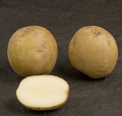 Atlantic potato.jpg