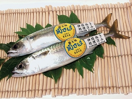 比目魚 鯖魚 沙丁魚 剝皮魚與旗魚 挖掘不盡的魚和魚料理 魚料理兵法之二 Benson The Teacher S Culinary Art Of War 鞭神老師之食之兵法