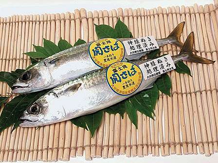 比目魚 鯖魚 沙丁魚 剝皮魚與旗魚 挖掘不盡的魚和魚料理 魚料理兵法之二 Benson The Teacher S Culinary Art Of War 鞭神老師之食之兵法