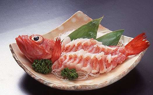 比目魚、鯖魚、沙丁魚、剝皮魚與旗魚,挖掘不盡的魚和魚料理:魚料理