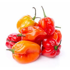 habanero.jpg