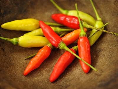 Pepper-Hot-Tabasco-HPP106-LSS-000_6902.jpg