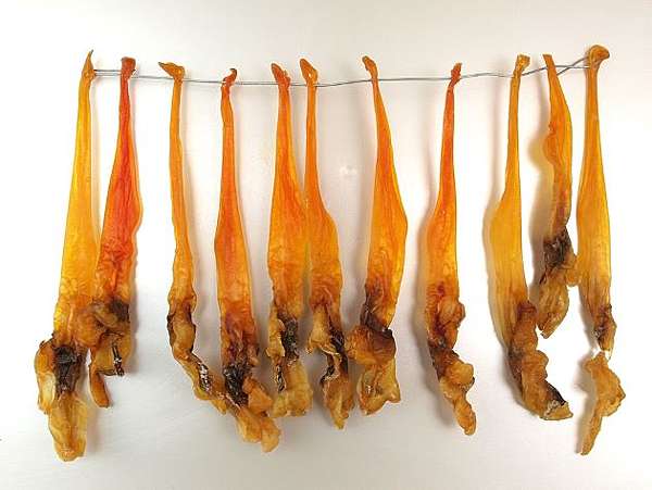 北寄貝 鳥貝 螺貝 扇貝 象拔蚌與文蛤巧達濃湯 貝類之兵法 Benson The Teacher S Culinary Art Of War 鞭神老師之食之兵法 北寄貝 鳥貝 螺貝 扇貝 象拔蚌與文蛤巧達濃湯 貝類之兵法 Benson The Teacher S Culinary Art Of War 鞭神老師之食之兵法