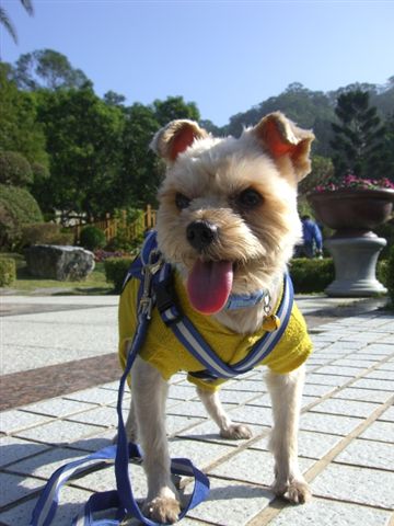 亞歌花園半日遊