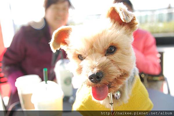 '070128 高鐵烏日站一日遊