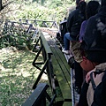 20120218 櫻花林