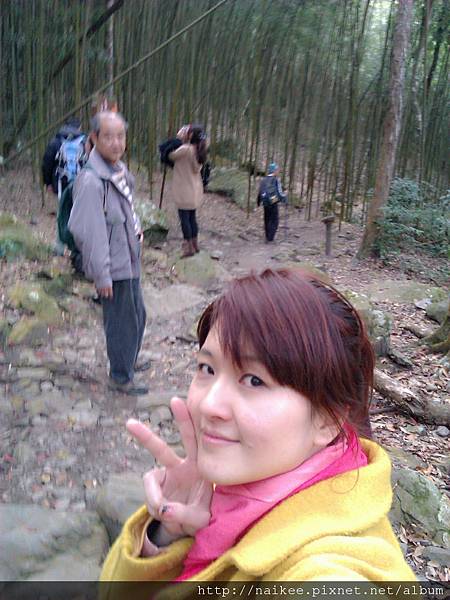 20120218 八仙山森林遊樂區