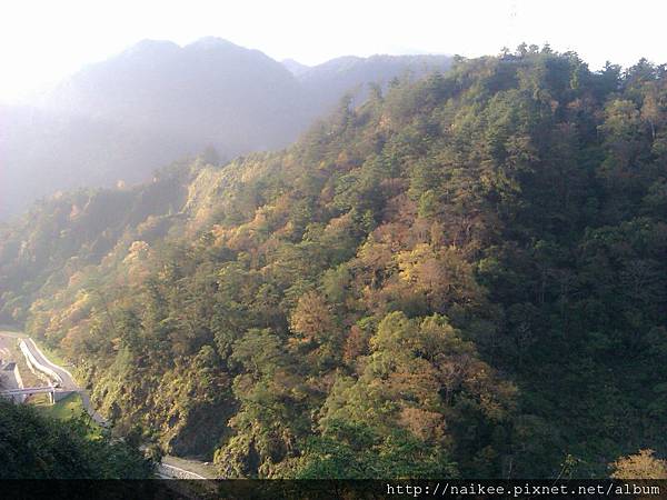 20120218 八仙山森林遊樂區