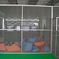 documenta-59-Kassel-20070906.JPG