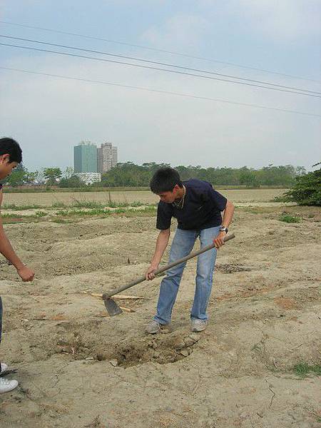 鋤禾日當午 汗滴禾下土