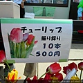 DSCN3814.JPG