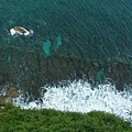 珊瑚岸海岸