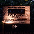 Night Safari_001