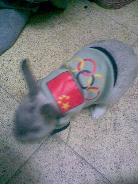 周周-北京奧運版