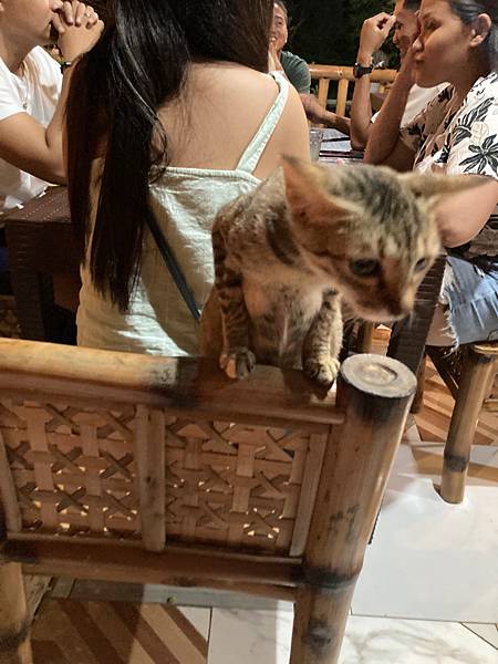 [菲律賓宿霧]超乎想像挑戰級9天8夜跳島--(上)