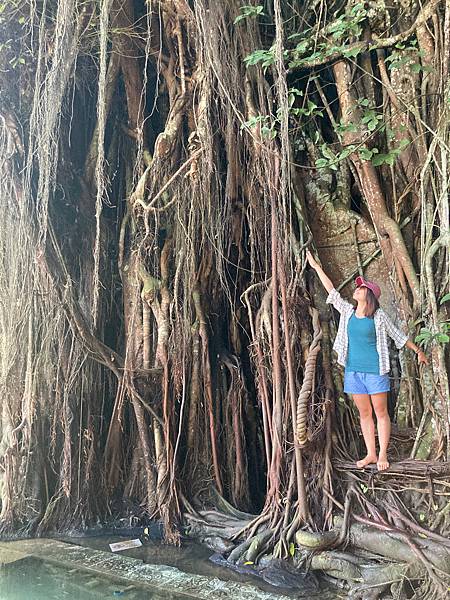 [菲律賓宿霧]超乎想像挑戰級9天8夜跳島--(上)