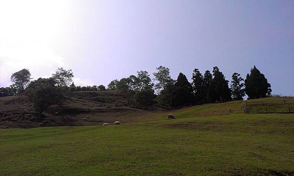 IMAG0249 IMAG0249
