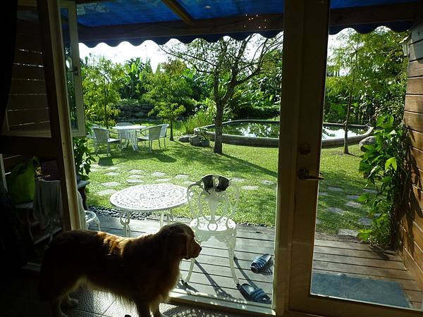 P1110211.JPG P1110211.JPG