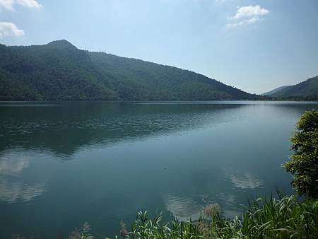 P1110310 P1110310