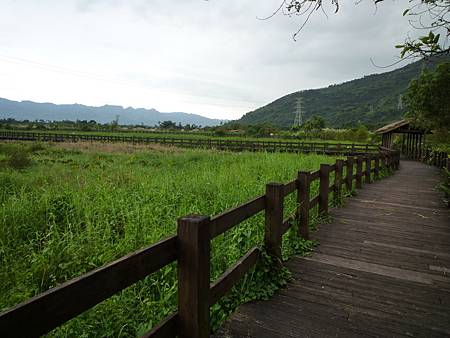 P1110400 P1110400