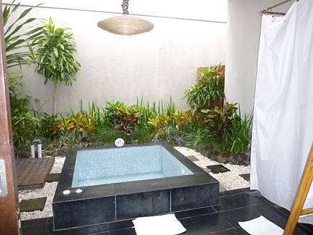 P1120381 P1120381