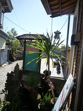 P1130049 P1130049