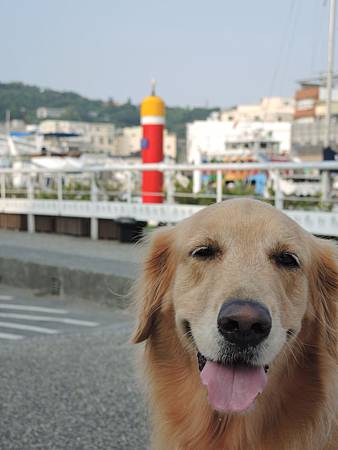 DSCN0255 DSCN0255