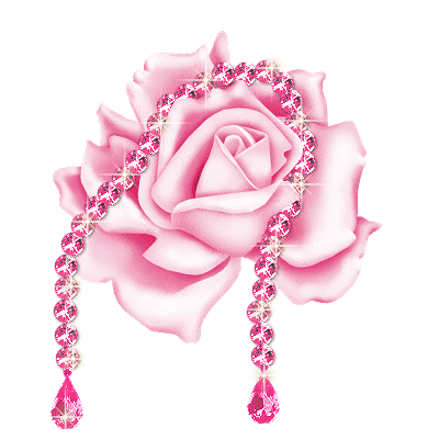 rose rose
