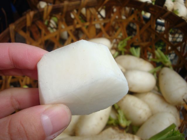 Radish.JPG Radish.JPG