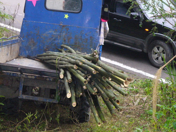 0-載運.jpg 0-載運.jpg