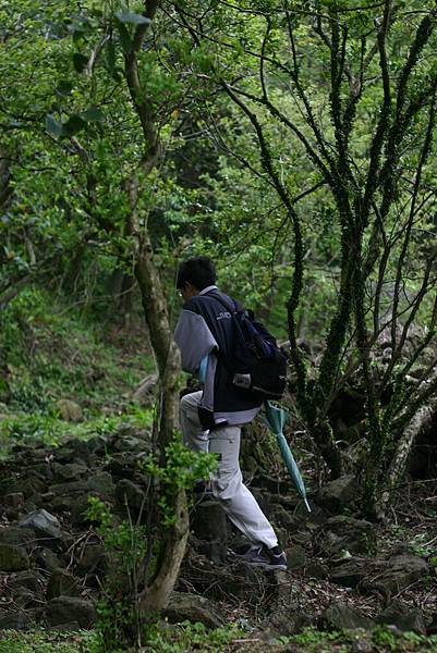 hino尋找遺跡