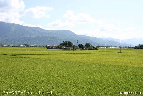 田裡面的舊農舍