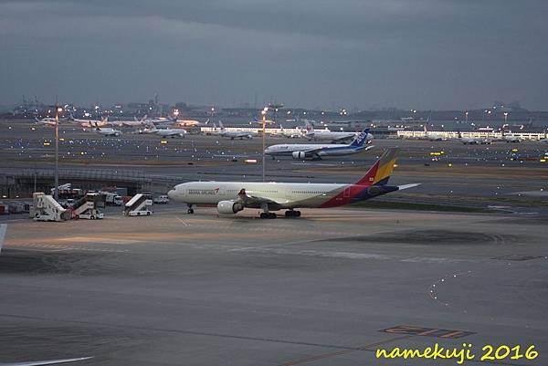 Airbus A330-300 OZ