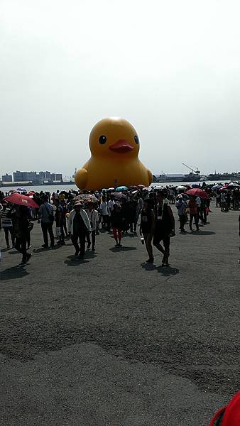 IMAG4541.jpg