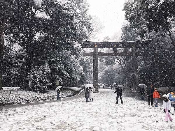 散策 東京 原宿 東京下雪囉 變成銀色世界的明治神宮 18東京大雪現場 波和梨珈琲館 東京本店 痞客邦
