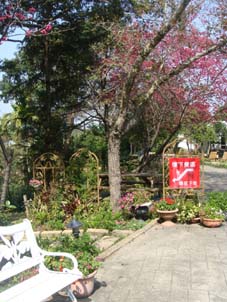 前往用餐的地方