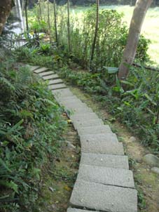 沿著下坡的小徑