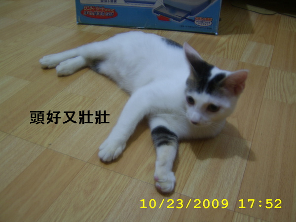 相片小畫家上傳