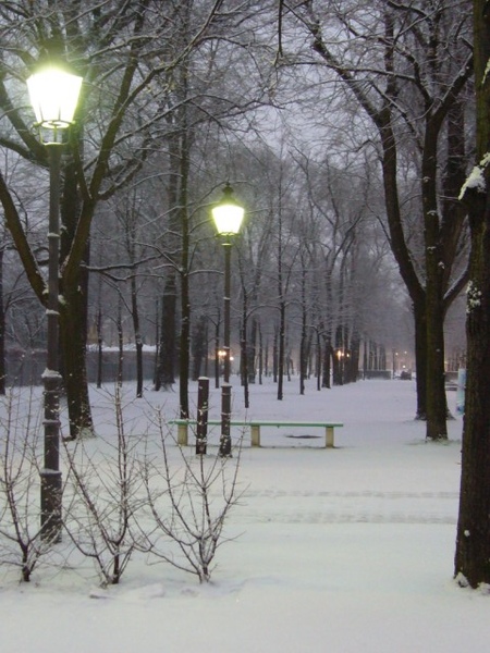 這是今年冬天柏林最大的一場雪