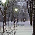 這是今年冬天柏林最大的一場雪