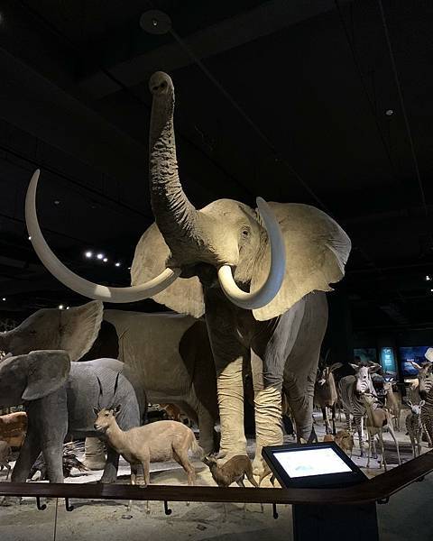 【導覽隨筆】 【導覽隨筆】